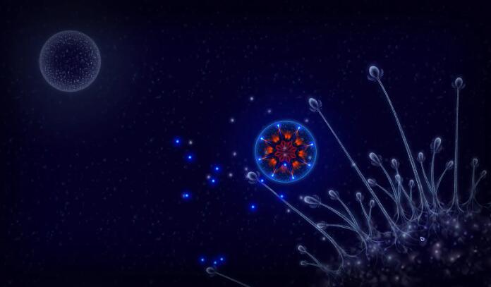 微生物模拟器中文版截图3