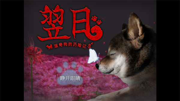 翌日波奇狗的历险记截图2