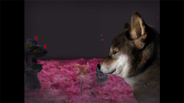 翌日波奇狗的历险记截图4