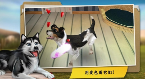 我的寄宿狗屋无限金币版截图2