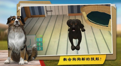 我的寄宿狗屋无限金币版截图3