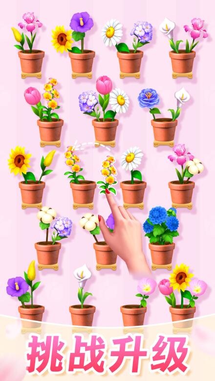 插花消除免广告版截图1