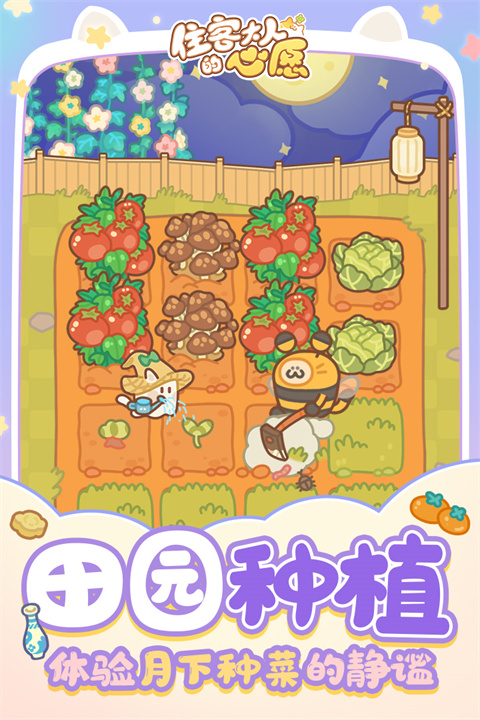 住客大人的心愿截图1