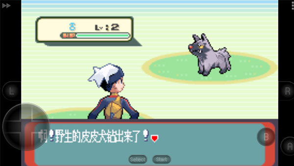 口袋妖怪蓝宝石截图3