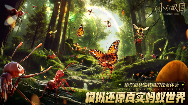 蚂蚁地下王国中文版截图4