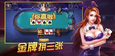 疯狂炸三张模拟器截图3