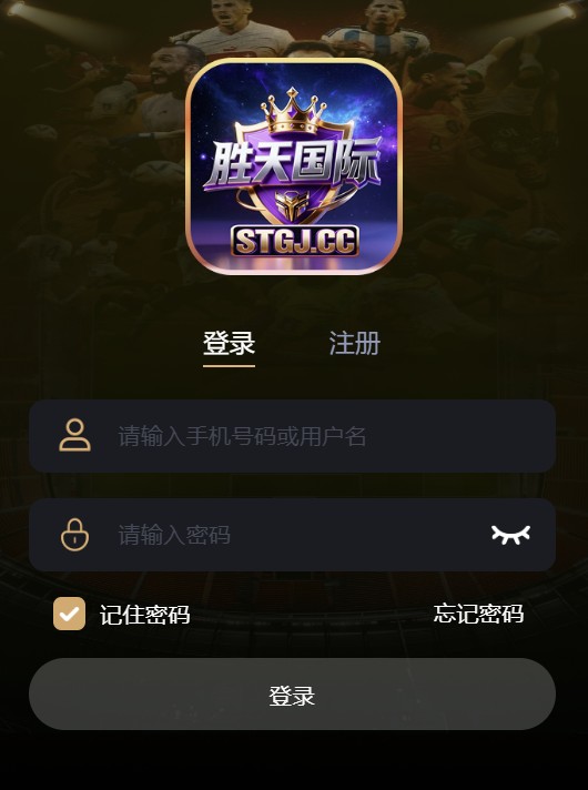 胜天国际大舞台入口截图1
