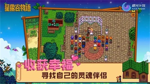 星露谷物语(手机版)截图2