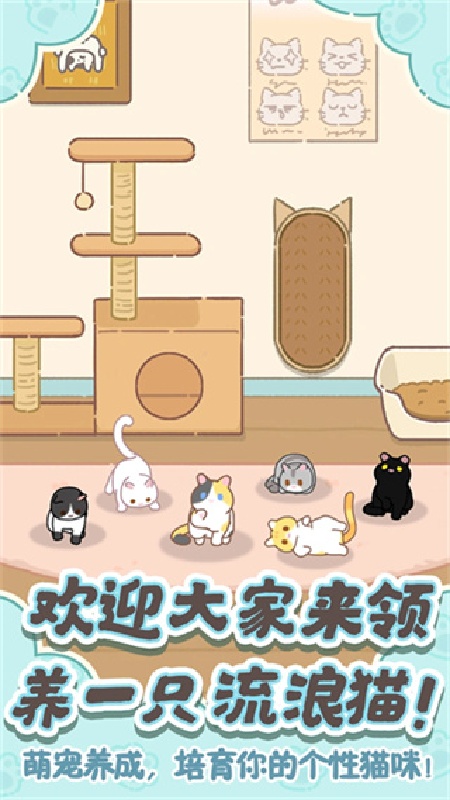 领养一只流浪猫官方版截图3