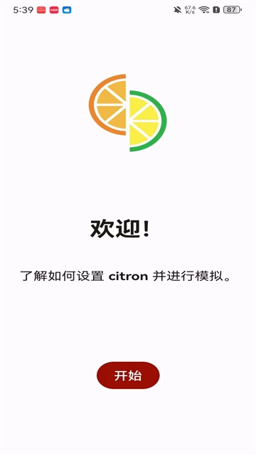 柠檬模拟器官方最新版截图2