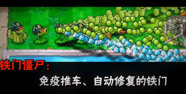 植物大战僵尸大哥版截图3