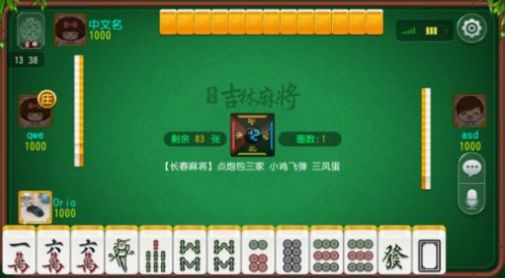 苏友麻将截图1