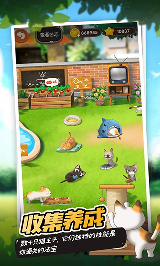 猫语咖啡正版截图2