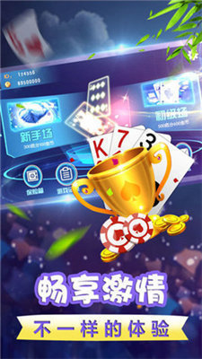 双剑棋牌(老版本)截图1