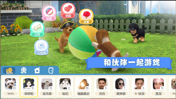 梦幻小狗最新版截图5
