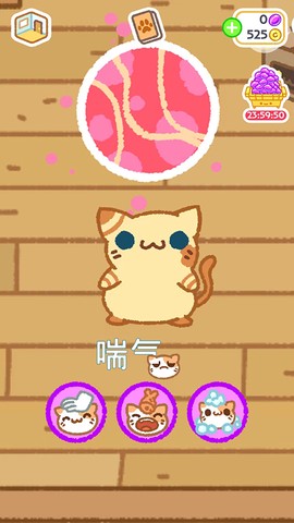 小偷猫安装包截图2
