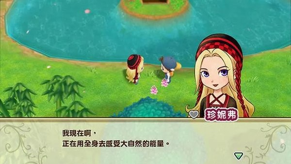 牧场物语重聚矿石镇截图1