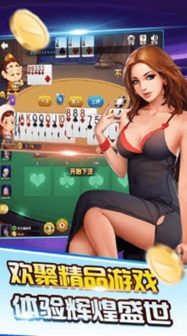 威趣棋牌截图1