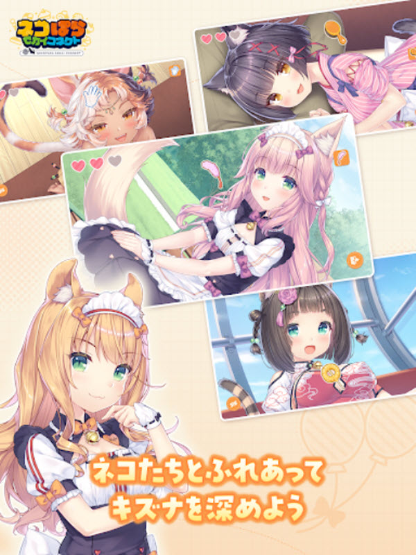 猫娘乐园世界连结国际服截图3