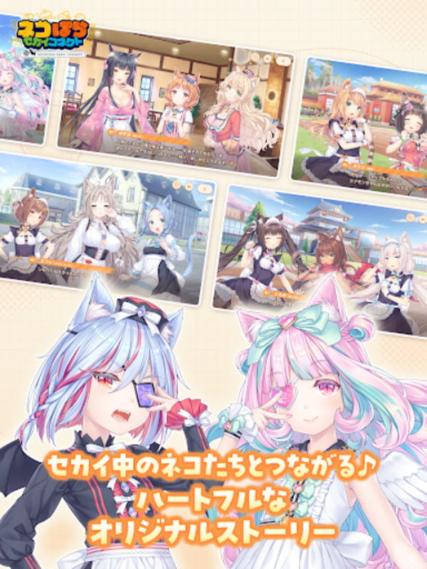 猫娘乐园世界连结国际服截图2
