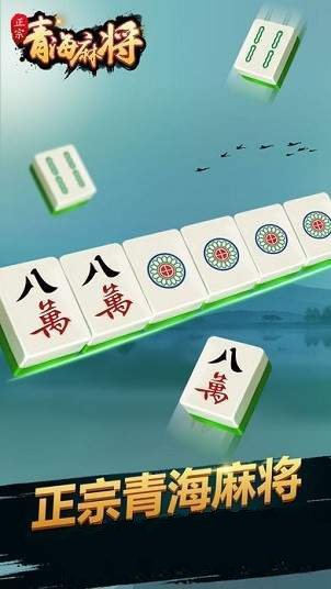 正宗青海麻将258方言版截图2