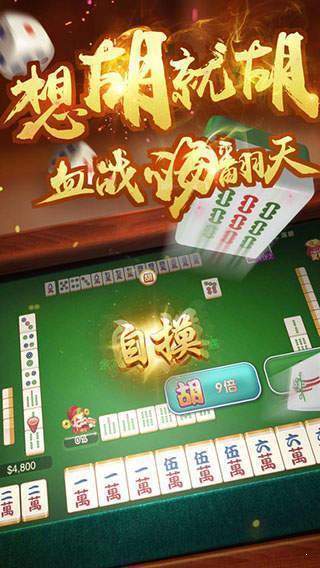 云南山水麻将下载截图2
