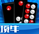 顶牛游戏24骨牌官方版