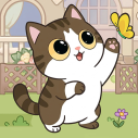 猫猫日记