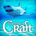 Survive on Raft
