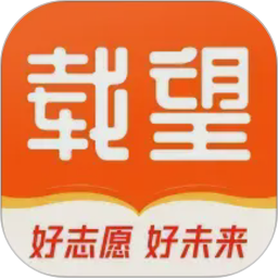 载望志愿