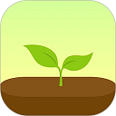 Forest 专注森林