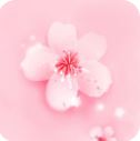 桃花直播