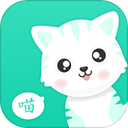 猫语翻译机