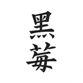 黑莓小说