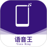 语音王