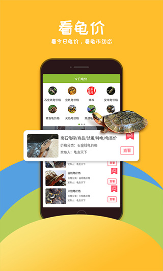 龟友天下截图4