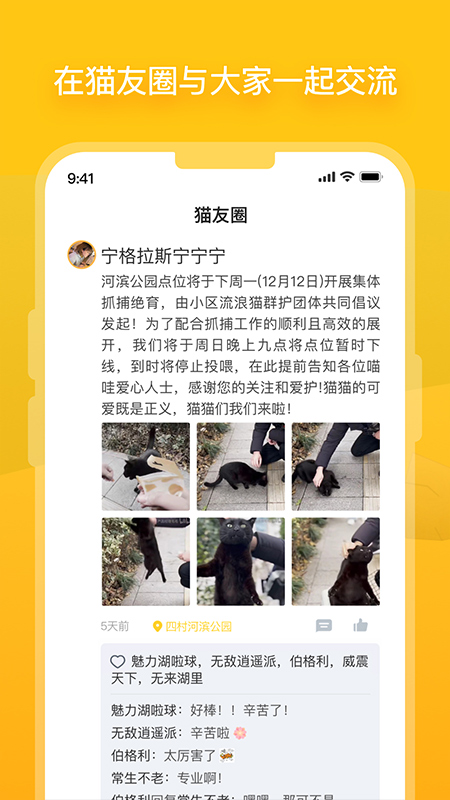 街猫截图3