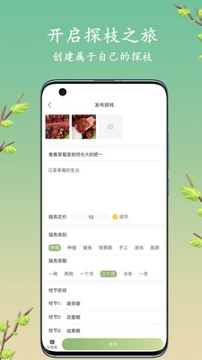 探枝截图1