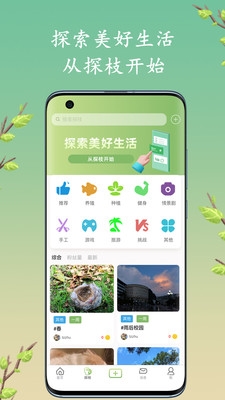 探枝截图2