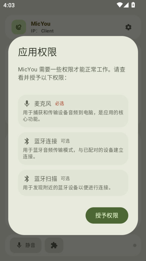 MicYou截图2