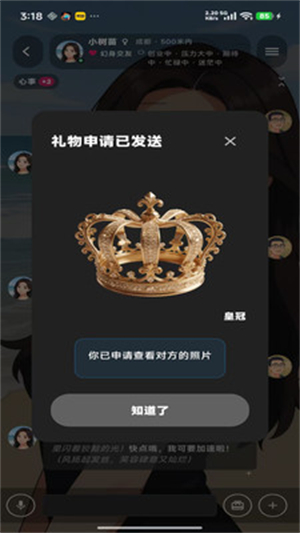 幻聊AI截图3