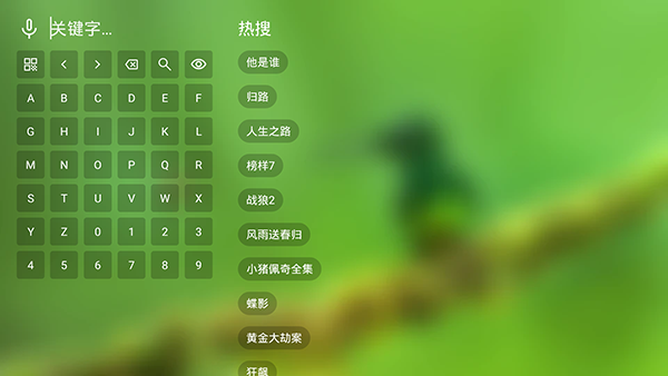 影视TVbox截图3