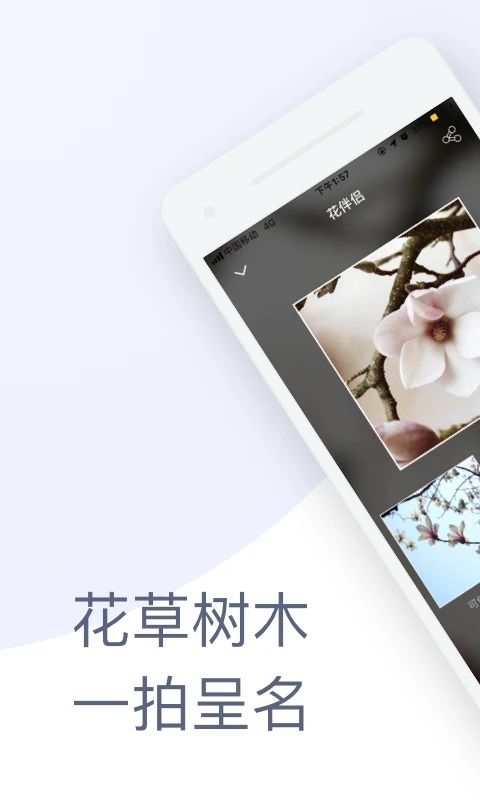 花伴侣截图3