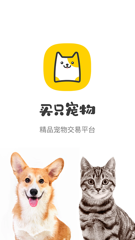 买只宠物截图2