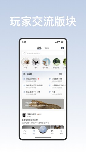 集宠区截图3