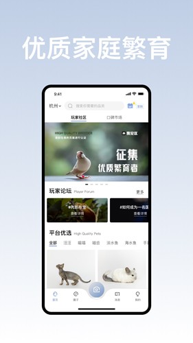 集宠区截图4