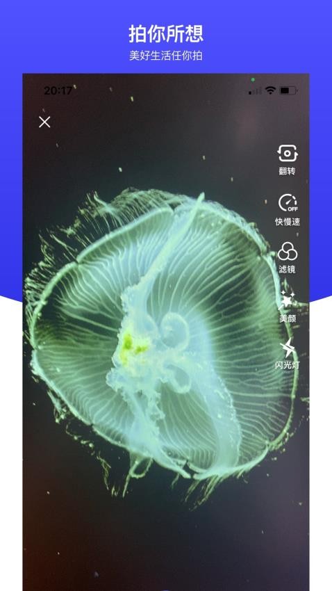 世子播播截图2