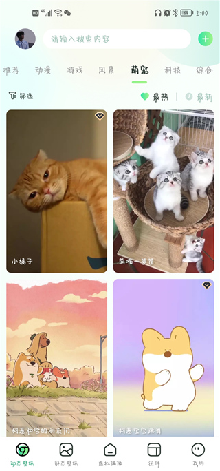 飞火动态壁纸免费版截图1