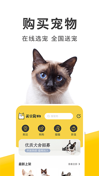 买只宠物手机版截图3