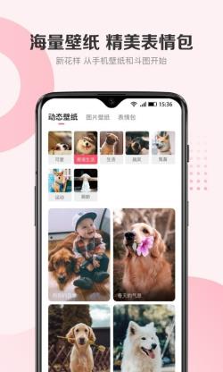 68宠物截图1